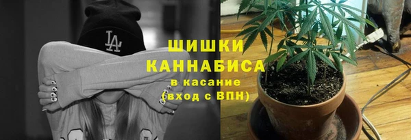 СК Зеленодольск