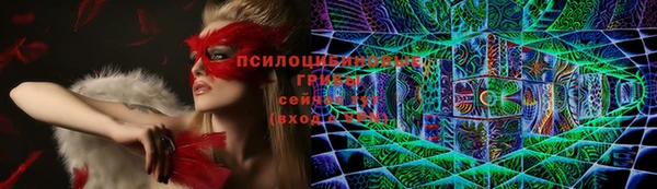 спиды Белокуриха