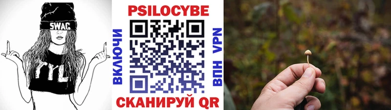 Псилоцибиновые грибы GOLDEN TEACHER Кувандык
